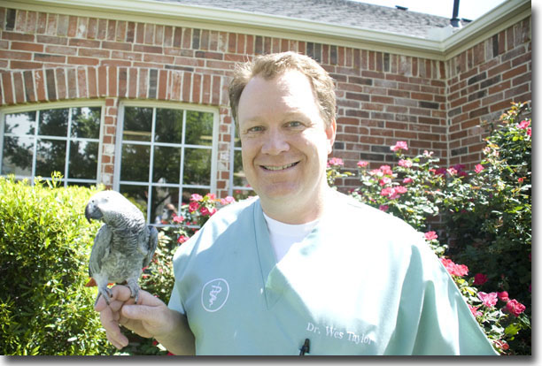 Dr. Taylor and Stormie, the hospital bird